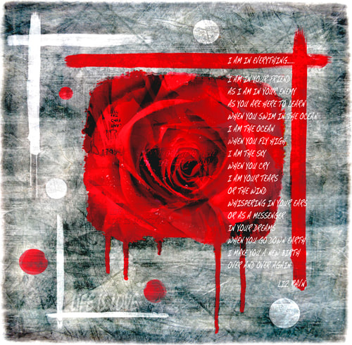Rose, blomst, poesi, dikt, kunst, grafikk, norsk grafikk, grafisk kunst, liz ravn